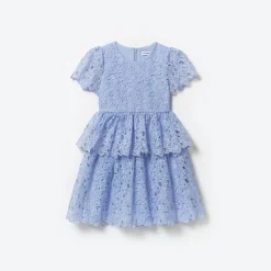 Organza Lace Mini Dress^self-portrait Outlet