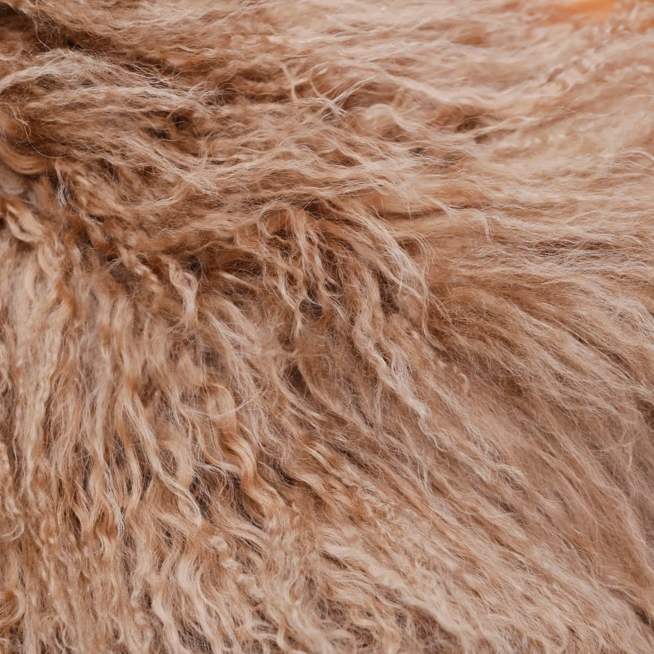 Shearling Jacket^self-portrait Clearance