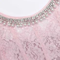 Lace Embellished Midi Dress^self-portrait Online